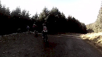 Ae forest 21st feb.