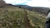 Pok Trail POV