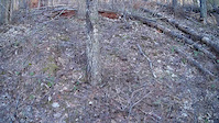 Lower Wolf Creek, Echo Broken Leg