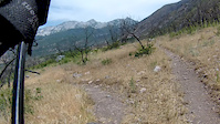 Ziggy POV in Lambert Park