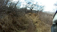 Lambert Park Access Trail POV