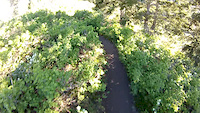 Trappers Gate Descent
