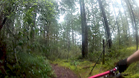 Walk Up
