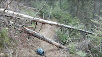 Clearing Phillips Trail 2015