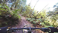 Paradise Valley Quickie