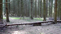 Schëtterhaard Trail 3 - Jump