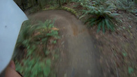 Must Watch Video