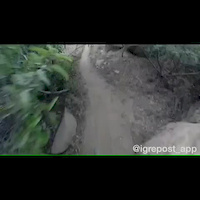 Must Watch Video