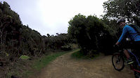 Missing Link - Makara Peak, Wellington