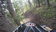 Go Pro Through The Woods