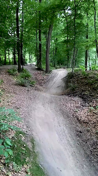 Święto lasu