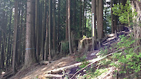 Step Down eagle ridge port moody