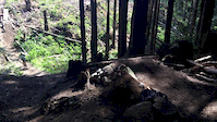 eagle ridge step down drop
