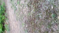 Jumps at the powerlines