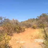 Must Watch Video