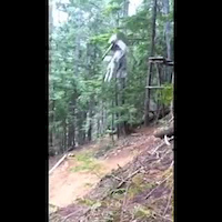 Must Watch Video