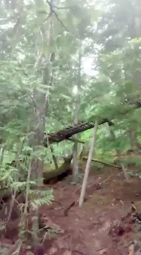 Must Watch Video