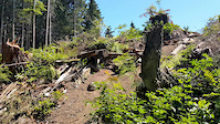 eagle ridge port moody gravity bowl drop