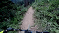 La guêps-blackshore Châtel bikepark 2015