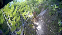 Webb Lookout