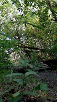 Brewmaster Trail