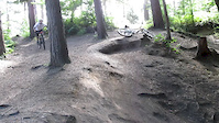 Chopwell bombhole