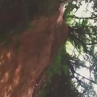 Must Watch Video