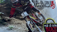 The Final 2015