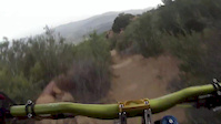 Suicide DH Dirty Bird Woolsey