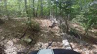 Mianus River Park- 'New' Trail backside