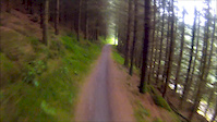 Glentress Betty Blue