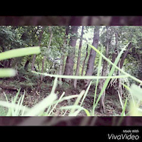Phone uploads from January - July 2015