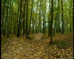Komárka is Back