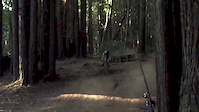 Must Watch Video