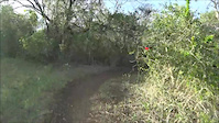 Las Garzas Trail