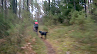 Trail riding