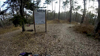 One ride on Blueberry Hill