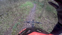 Philips Park trail jumps.