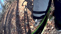 Trail Ride
