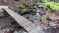 Dr Wiessner  Trail random