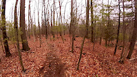 Diamond Hill jumps 01