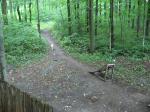 Must Watch Video