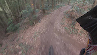 FAIL Sintra - cogumelos 2015-12-26