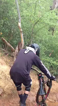 Must Watch Video