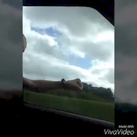 Must Watch Video
