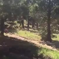 Must Watch Video