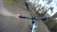 Blueberry hill follow cam