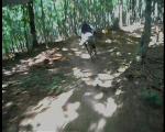 Prato Selva 2