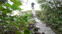 A few Squamish Trails