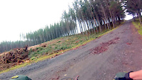 Must Watch Video